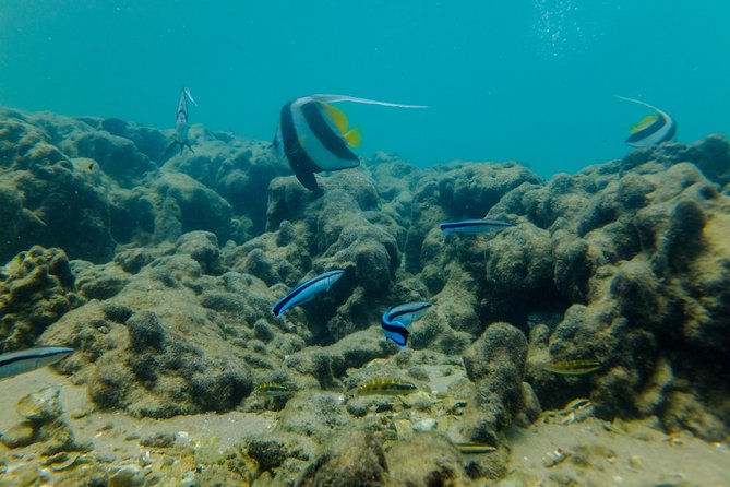 Kosi Bay Mouth Experience - Kayaking, Snorkeling, Fish Trap Tour and Fish Braai - Tips for Your Visit