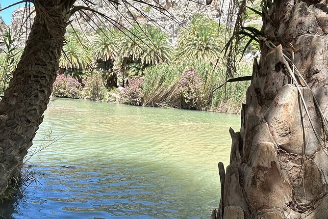 Kourtaliotiko Gorge and Preveli Beach Review - Highlights of Kourtaliotiko Gorge