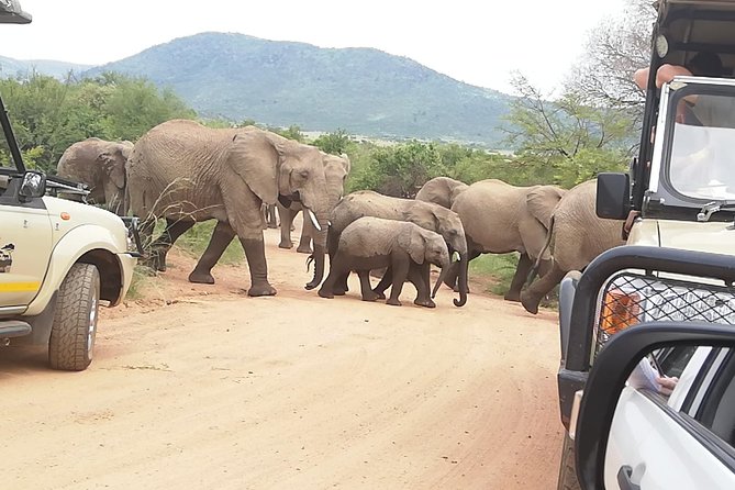 Kruger National Park 2 Days 1 Night Magical Safari From Johannesburg Private - Accessibility Features