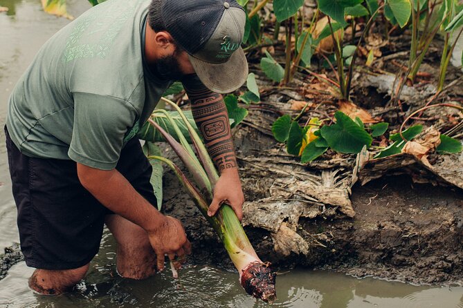 Kualoa Ranch: Malama Experience Tour - Accessibility and Health Considerations