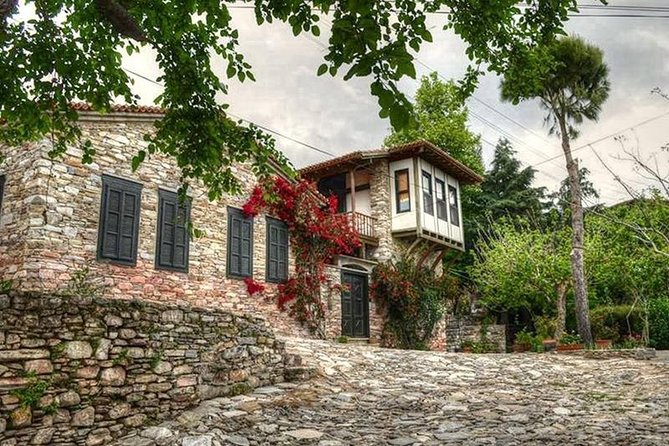 Kusadasi Port to Ephesus, Terrace Houses, Selcuk Museum, Temple of Artemis - Ephesus Ancient City