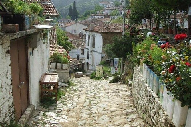 Kusadasi Shore Excursion: Private Full-Day Tour to Ephesus, Didyma and Miletus - Knowledgeable and Engaging Guides