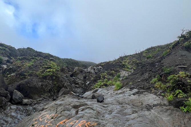 La Soufriere Volcano Hike - Highlights and Unique Features