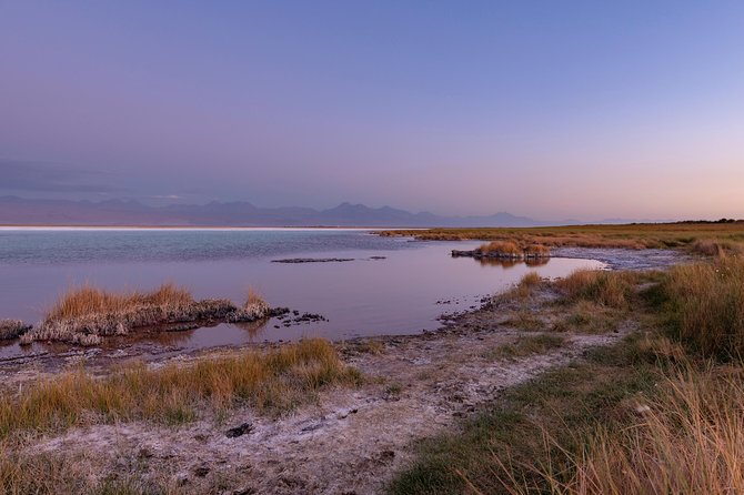 Lagoons in Atacama Salt Flat - Half Day - Typical Tour - San Pedro De Atacama - Itinerary
