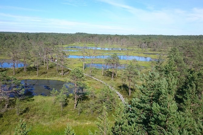 Lahemaa National Park in Estonia - Hiking the Moors