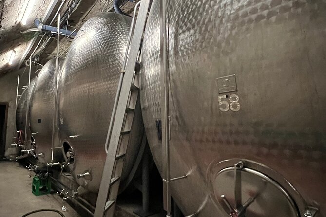 Lake Constance Wine Tour Day Tour Wine Tasting at 3 Winemakers - Traveler Testimonials