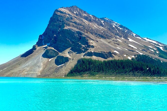 Lake Louise and the Icefields Parkway Full-Day Tour - Wildlife Viewing Opportunities