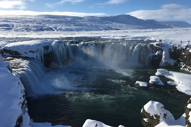 Lake Myvatn Private Day Tour Mývatn, Godafoss Waterfall for Cruise Ships - Customer Feedback and Ratings