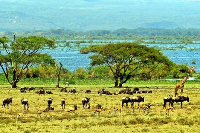 Lake Naivasha Day Tour Including the Crescent Island - Wildlife Sightings and Encounters