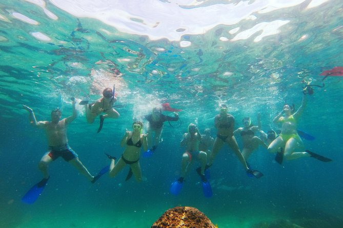 Lands End Luxury Sail and Snorkel Cruise in Cabo San Lucas - Customer Reviews and Highlights