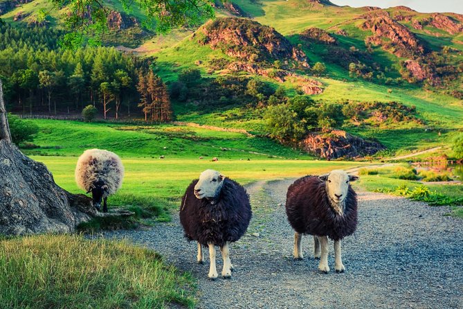 Langdale Valley - Half Day - Up to 4 People - Inclusions in the Private Tour