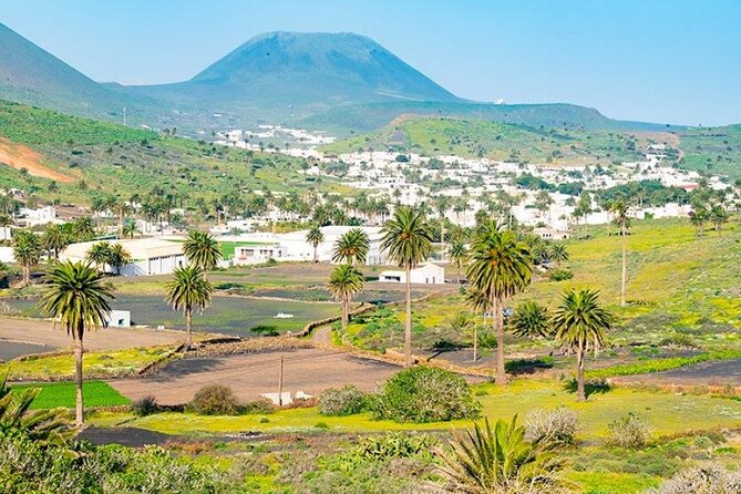 Lanzarote: Corona Volcano, Lava Caves, Cesar Manrique Bus Tour - Cancellation Policy