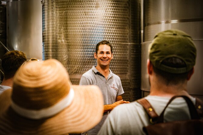Lapi&Tour Guided Tour of the Cellars With Wine Tasting - Winerys Family-Owned and Scenic Setting