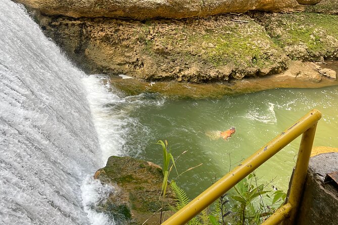 Largest Natural Waterslide, River Hike and Beach Tour in Arecibo - Reviews and Feedback