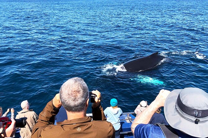 Late Season Puffin & Scenic Coastal Cruise - Transportation Options