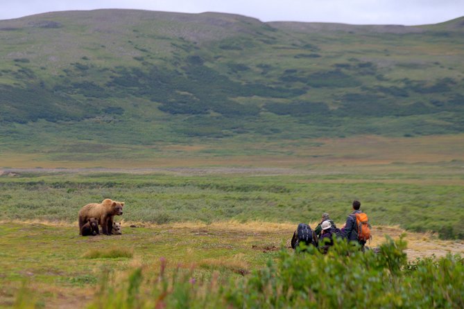 Late Summer Bear Viewing in Katmai National Park - Activity Duration and Itinerary