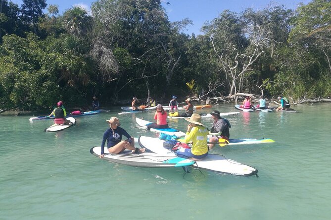 Learn Paddle Board and Explore the Mangroves of Progreso - Booking and Cancellation Policies