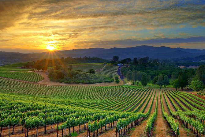 Lebanon Wine Tasting Tour From Beirut - Cancellation Policy