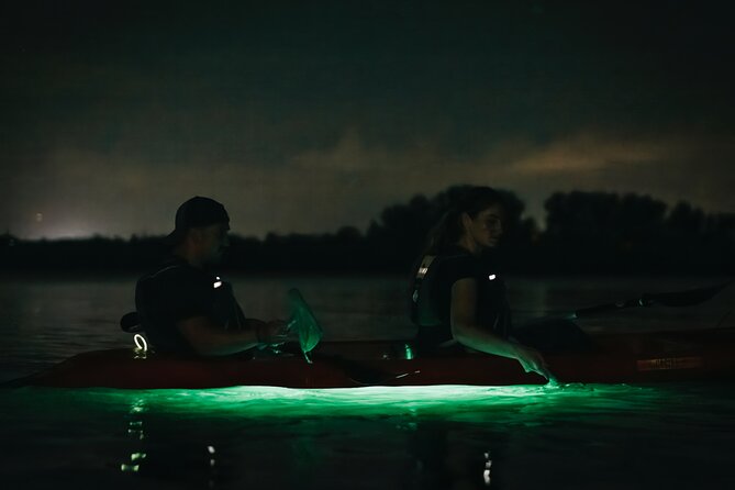 LED Bio Comb Jelly Clear Bottom Kayak or Paddleboard Tour! - Customer Experiences