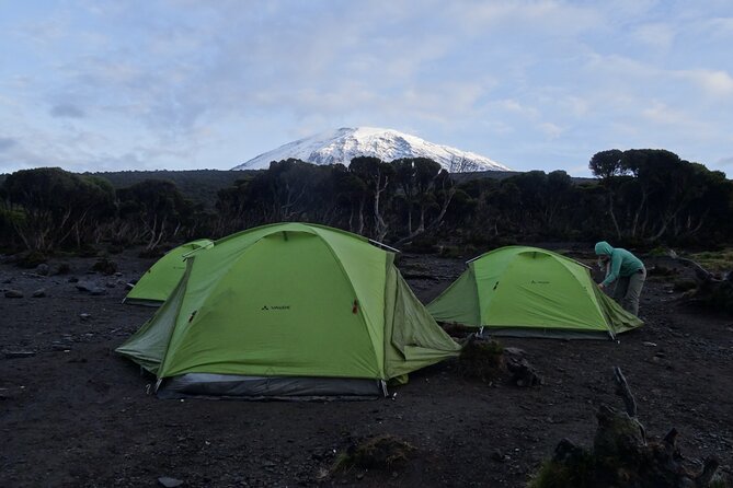 Lemosho Route Seven Days - Suitability and Fitness Requirements