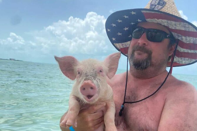 Lets Get Piggy With It: a Splashin Good Time With the Pigs! - Review Highlights