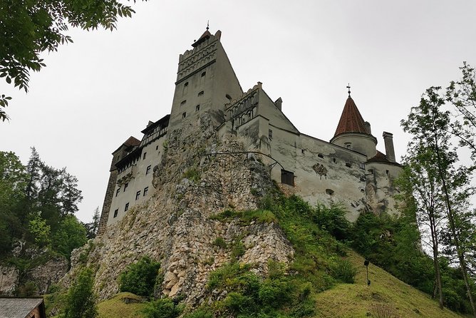 Libearty Brown Bears Sanctuary & Dracula Castle in One Day! - Accessibility and Participation