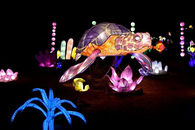 Light Park Tenerife - Booking and Confirmation