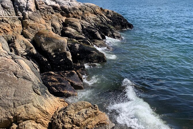 Lighthouse Park Hike - Health and Safety