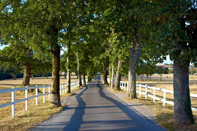 Lipica Stud Farm- Private Experience From Koper - Cancellation Policy