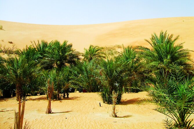 Liwa Over Night Safari - Private Vehicle Transportation