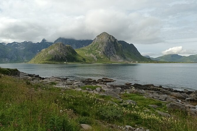 Lofoten VIP PRIVATE Tour From Leknes City / Port - Tour Pricing and Bookings