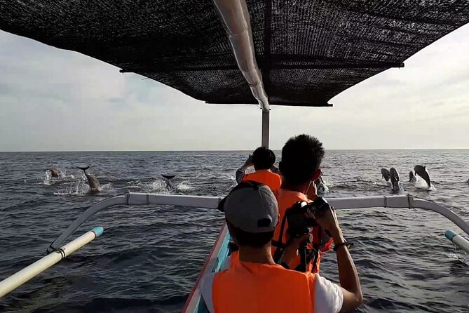 Lovina Sunrise Dolphin With Option Snorkeling and Waterfall - Reviews and Feedback