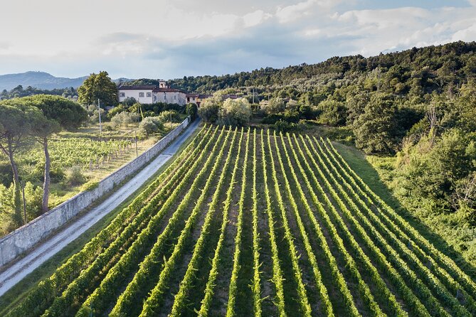 Lucca - Wine Tasting at Tenuta Mareli - Additional Resources for Inquiries