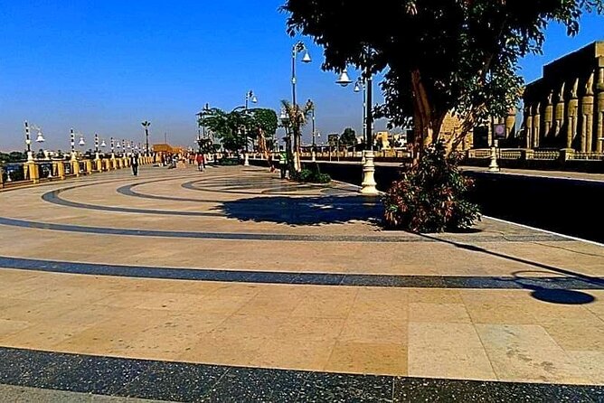 Luxor's Private Transportation - Customer Reviews and Feedback