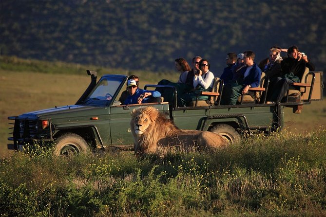 Luxury 2-Day In & Out Garden Route Safari Tour - Luxury Private Transportation
