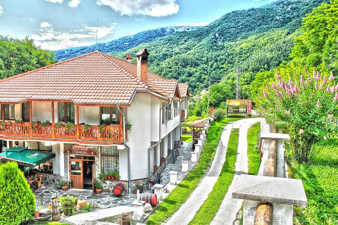 Luxury Day Trip to Boyana Church and Rila Monastery - Tour Reviews
