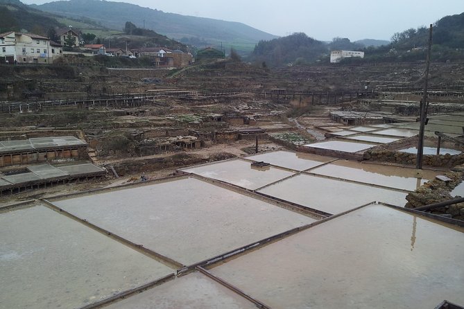 Luxury Tour By Alava (Vitoria-Gasteiz and Salinas De Añana) - Reviews and Feedback