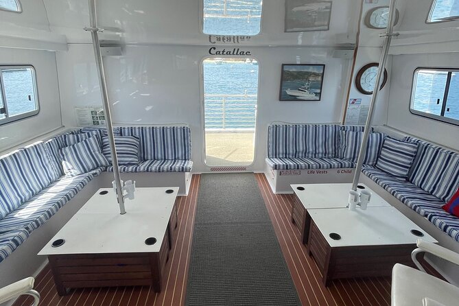 Luxury Whale Watching: Fewer People, Extra Speed, Expert Staff - Flexible Scheduling and Accessibility