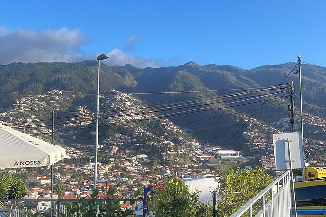 Madeira Essence Half Day Tour for Cruises - Highlights and Scenic Stops