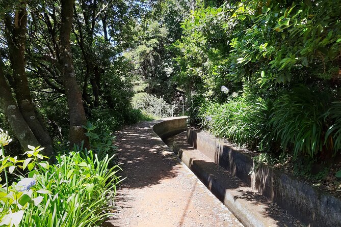 Madeira: Private Laurisilva Tour - Pricing and Cancellation