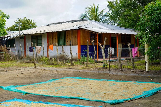 Magdalena River Safari - 6 Hours - Tour Conditions and Policies