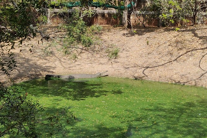 Mahabalipuram and Madras Crocodile Bank Trip From Chennai Wtih Lunch,Transport - Pricing Overview