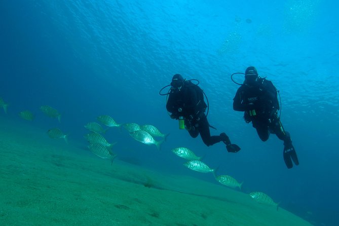 Make a Private Try Dive, for Your First Scuba Experience! - Ratings and Reviews
