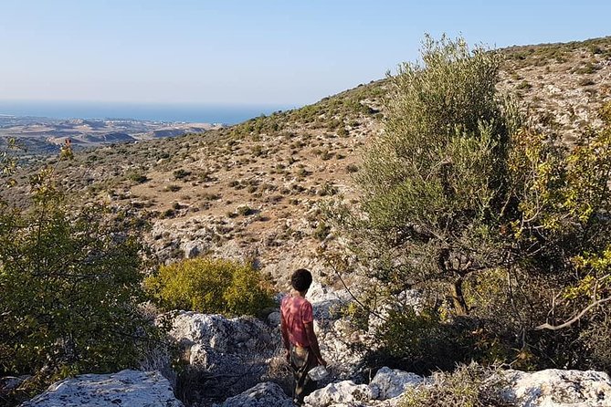 Make You Own Wildcrafted Extra Virgin Olive Oil! - Experiencing the Olive Mill