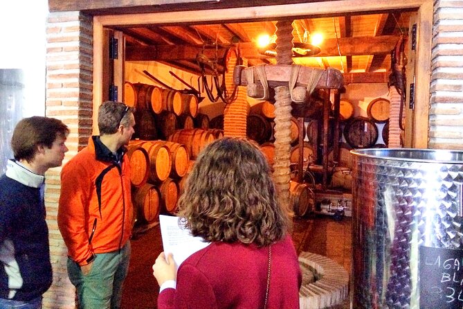Malaga Shore Excursion: Panoramic Buggy Tour With Wine Tasting in a Historical Cellar - Buggy Tour Experience