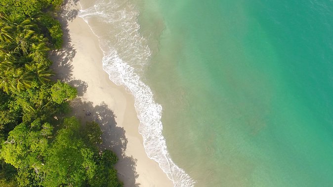 Manuel Antonio National Park Nature Walk - Booking and Reservation Details