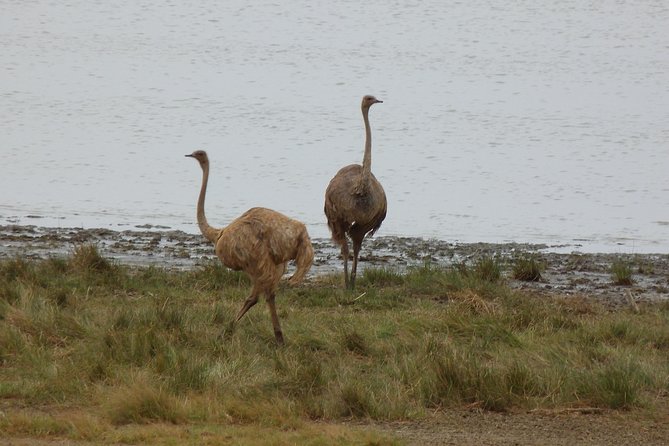 Manyara and Ngorongoro Crater - Meeting and Pickup Details