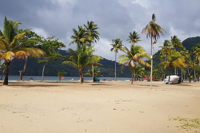 Maracas Beach - Private Driver-Guide Service