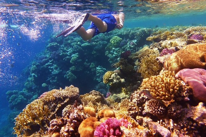 Margaritaville/Jeski Tour or Snorkeling in Montego Bay - Price and Booking