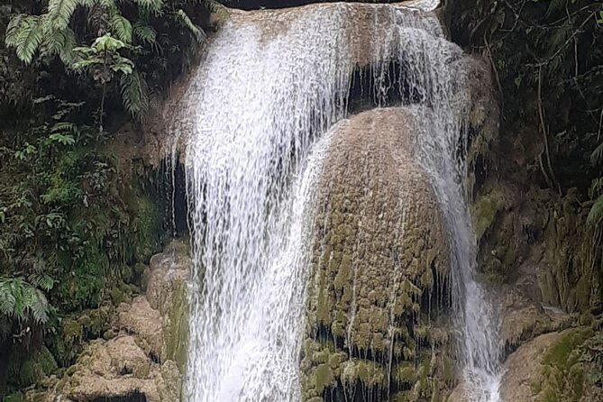 María and Miguel Stop - Half Day Tour to El Limón Waterfall With Lunch Included - Cancellation and Reviews